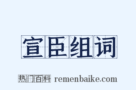 宣臣组词是什么意思的图片